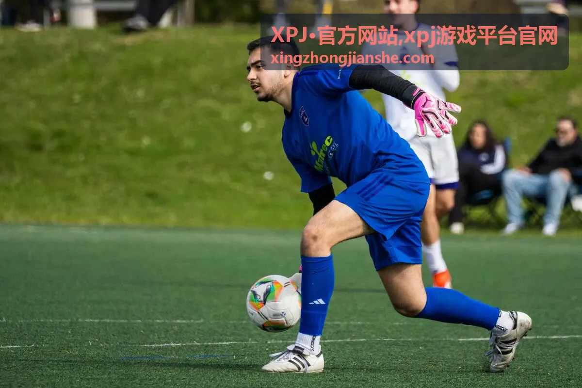 xpj游戏平台官网安全访问提醒与服务支持